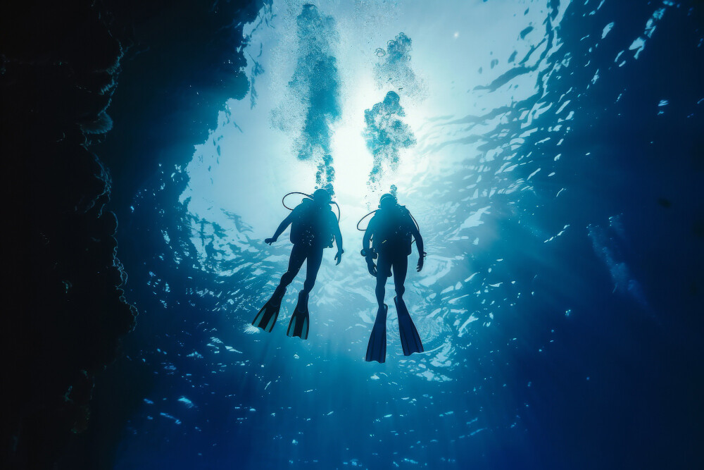 buceo