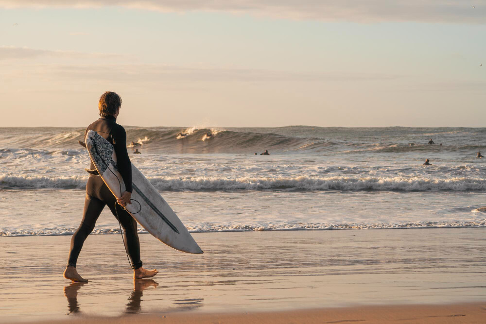 surf